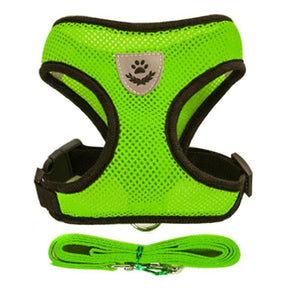 Coleira para cães e gatos Ajustável - StreetPet™